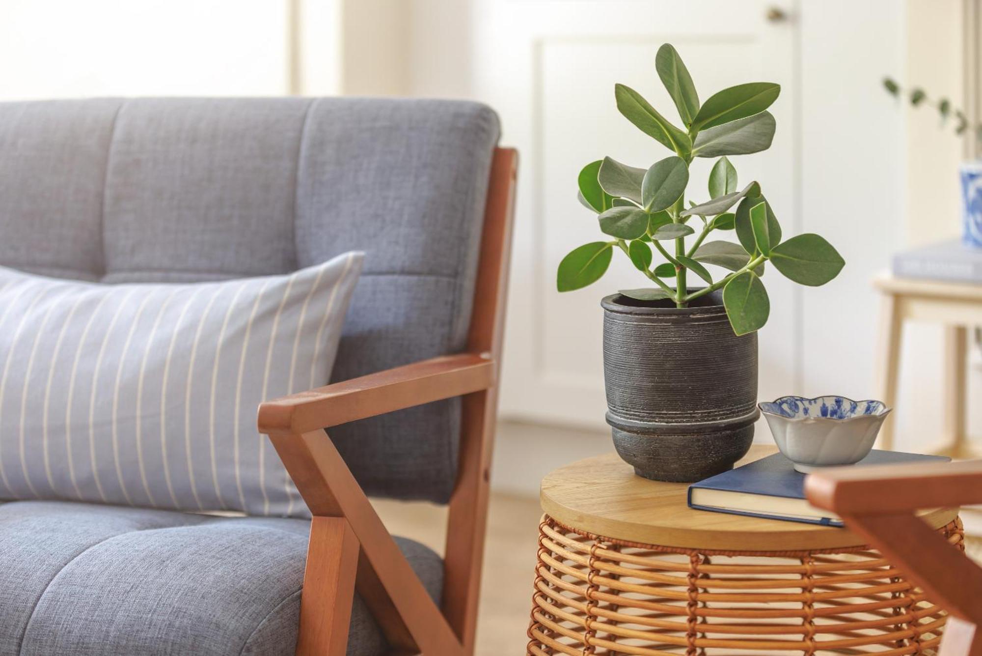 Ocean City Stylish Apartment Plymouth Luaran gambar
